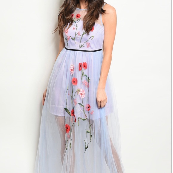 Dresses & Skirts - Brand New Chic Floral Embroidered Mesh Maxi Dress